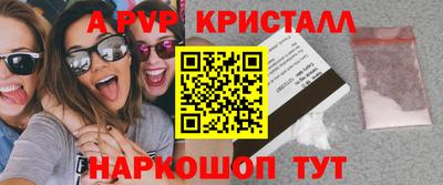 эйфоретик Тара