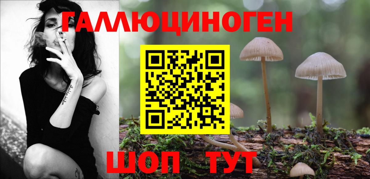 Псилоцибиновые грибы мухоморы  Псилоцибиновые грибы Cubensis  Нижнекамск  Вход с VPN 